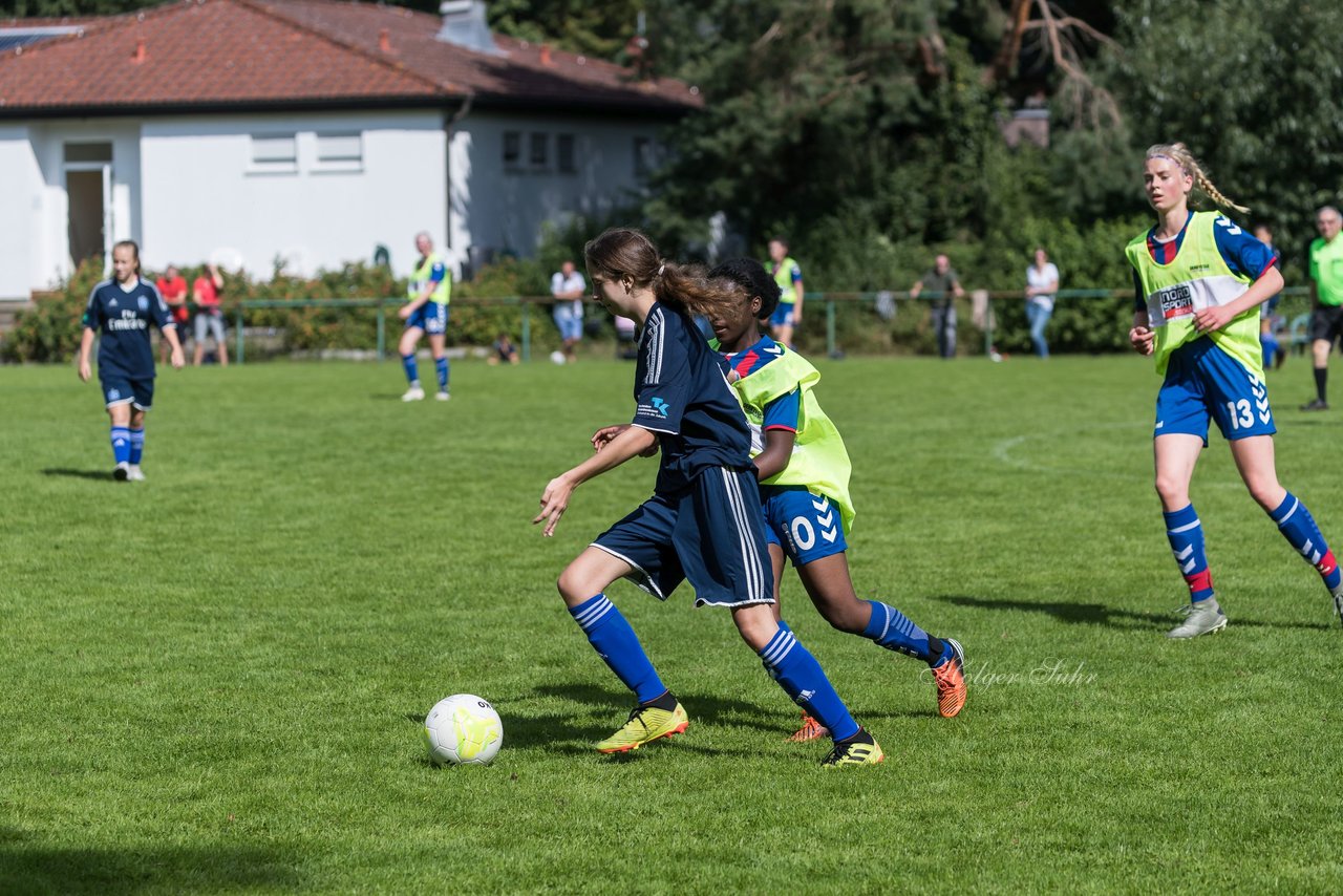 Bild 152 - B-Juniorinnen VfL Pinneberg - HSV : Ergebnis: 1:4